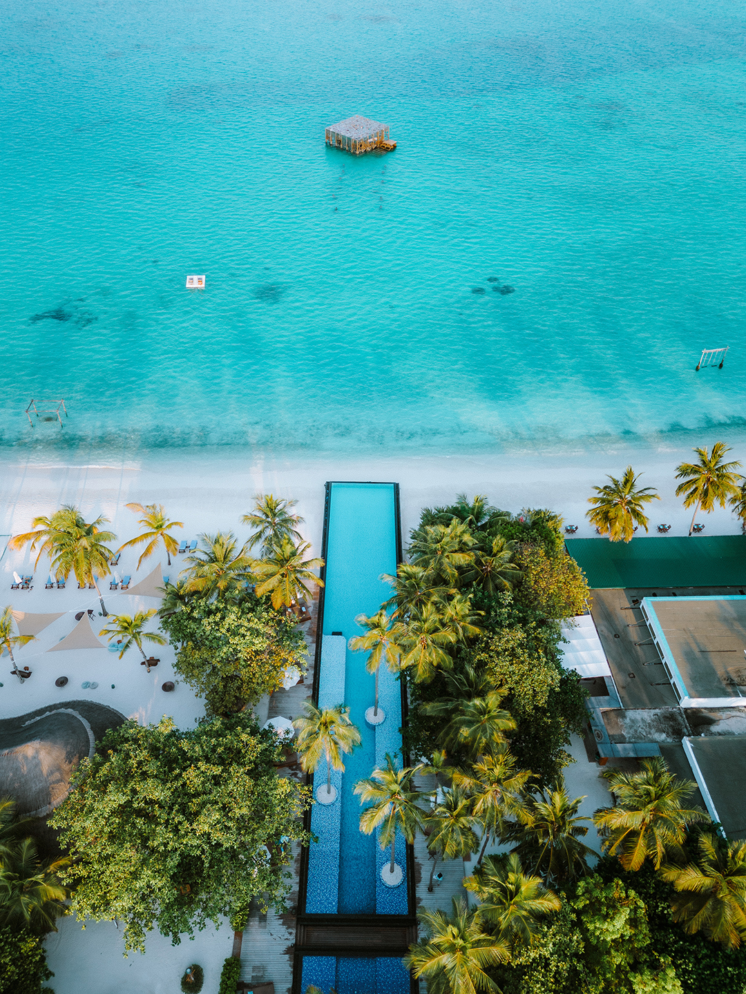 sirrufenfushi